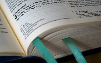 Nourishing Spiritual Milk