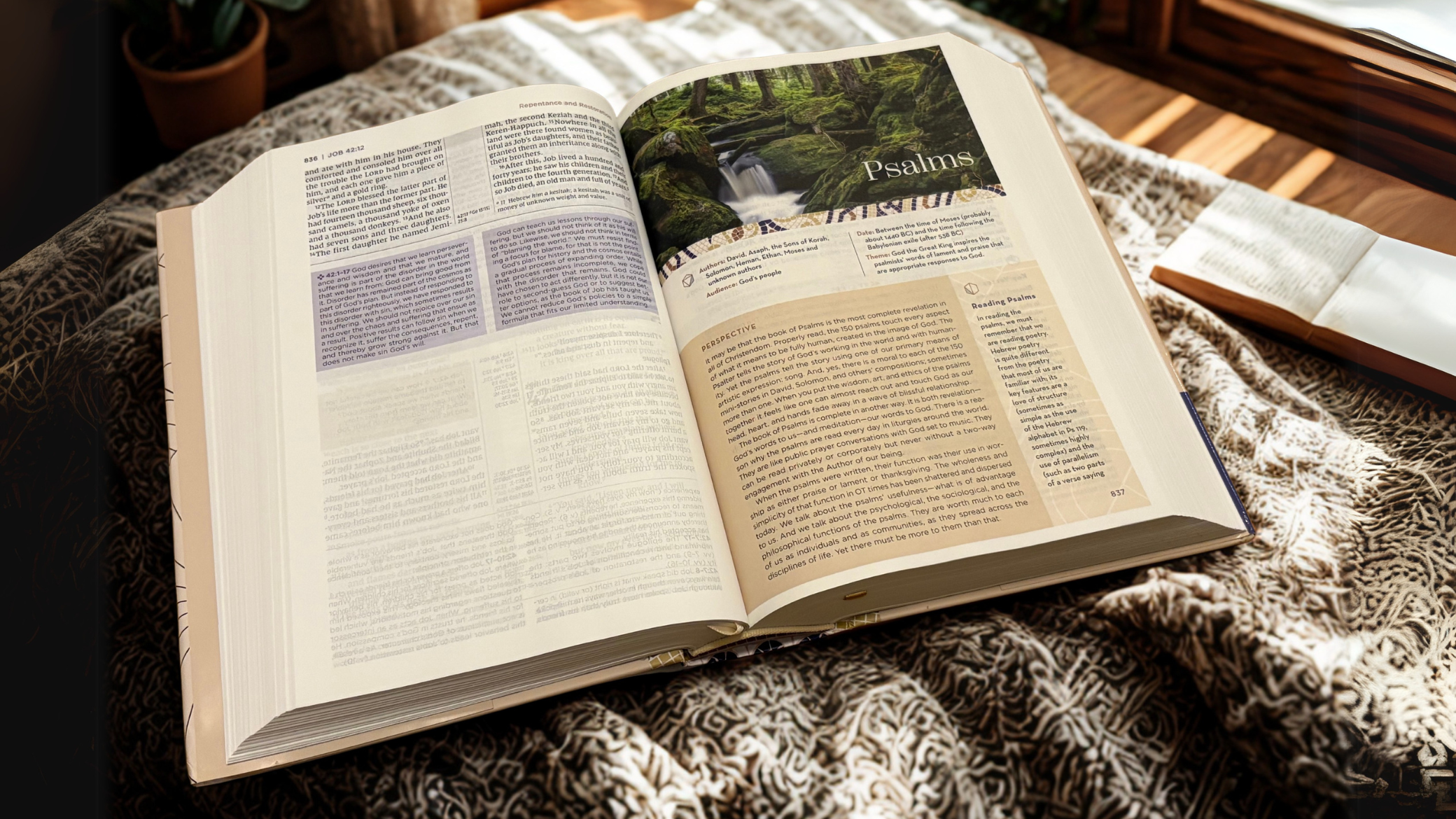 NIV Application Bible opened to Psalms section with study notes