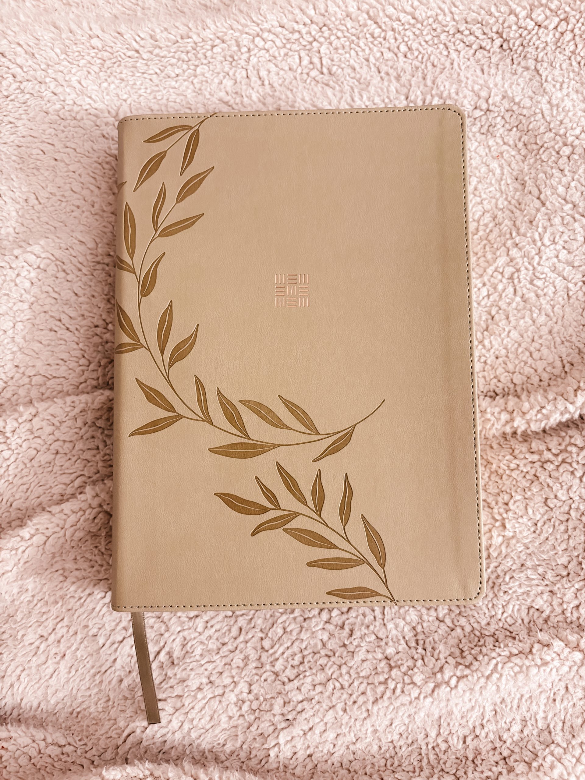 IMG_7085 Book reviewer, Priscilla holding Uncomplicate It