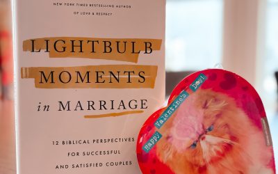 New Non-Fiction —  Biblical Wisdom for Strengthening Marriage