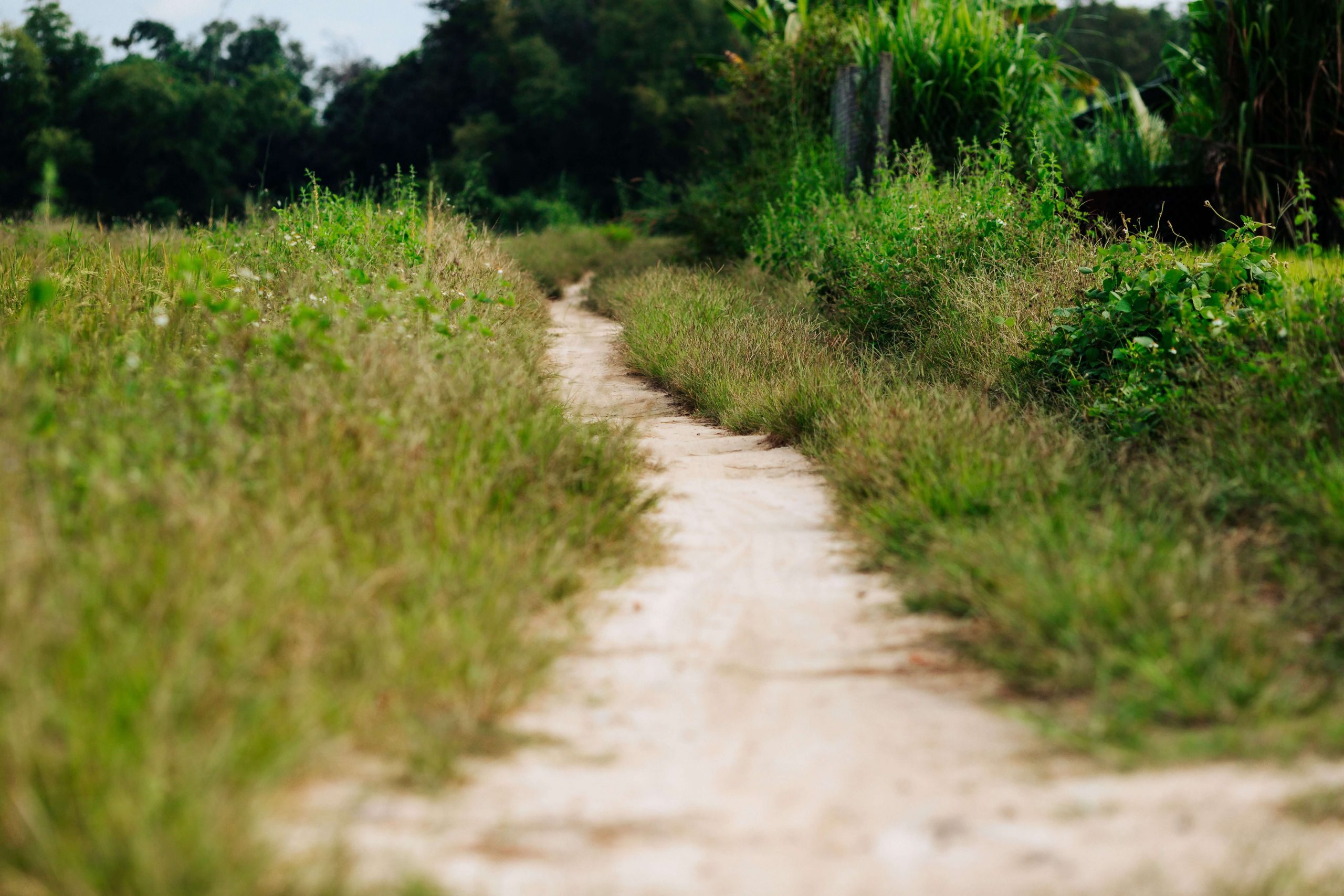 A peaceful path representing your faith journey